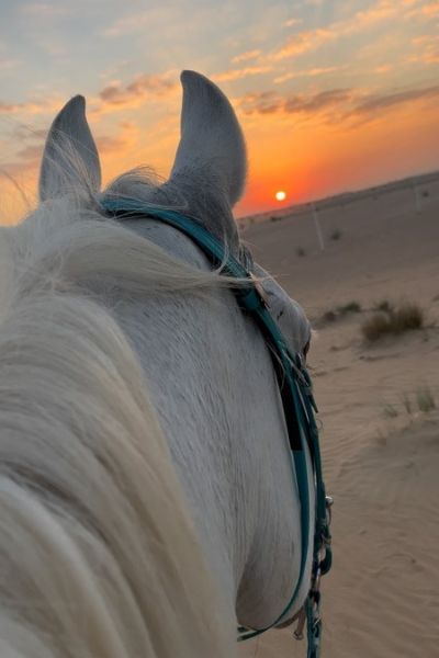 AGADIR HORSE RIDE
